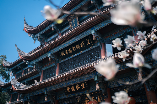 空林图书馆.png